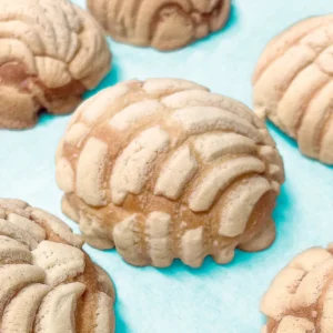 conchas mexicanas dulces mexicanos - Mila reposteria